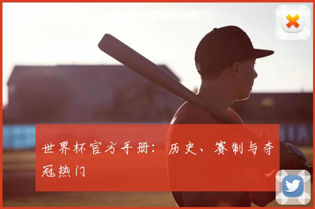世界杯官方手册：历史、赛制与夺冠热门